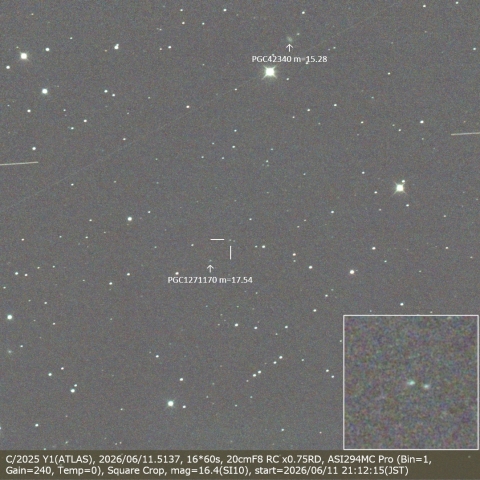 C/2025 Y1(ATLAS)