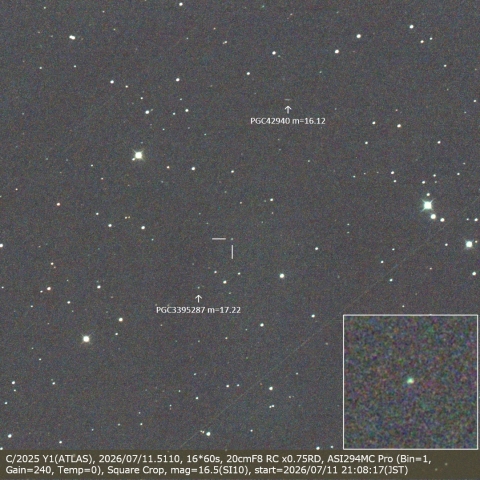 C/2025 Y1(ATLAS)