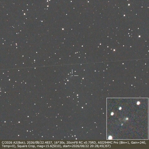 C/2026 A2(Bok)