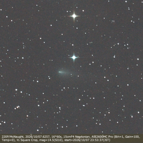 220P/McNaught