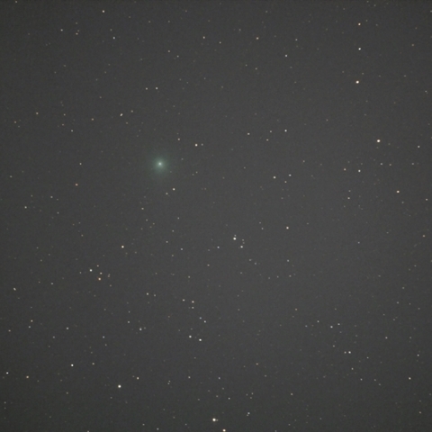 C/2014 Q2(Lovejoy) 