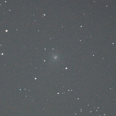 C/2014 Q2 (Lovejoy)