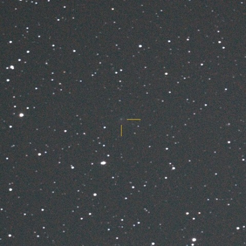 C/2011 KP36 (Spacewatch)