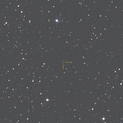 C/2011 KP36 (Spacewatch)