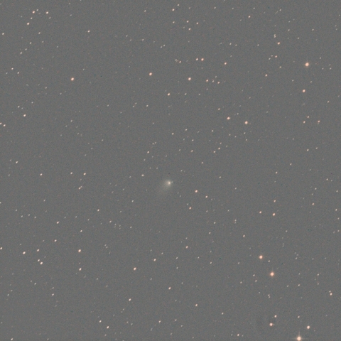 C/2013 X1 (PanSTARRS)