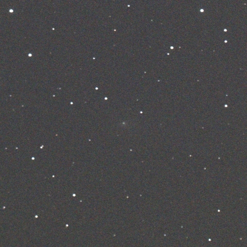 C/2011 KP36 (Spacewatch)