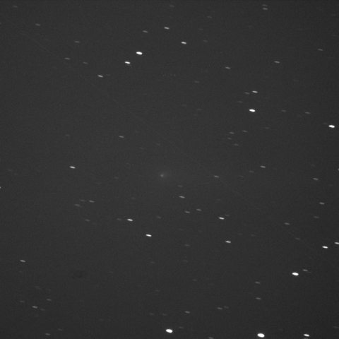 C/2015 ER61(PanSTARRS)