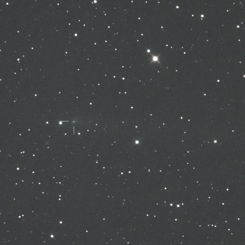 C/2015 ER61(PanSTARRS)