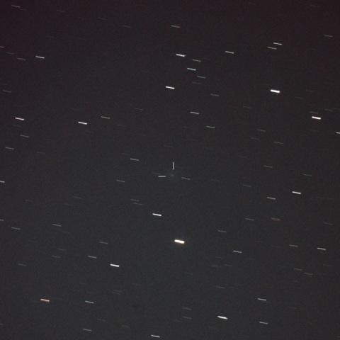 185P/Petriew