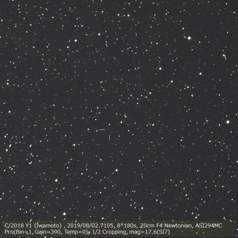 C/2018 Y1 (Iwamoto)