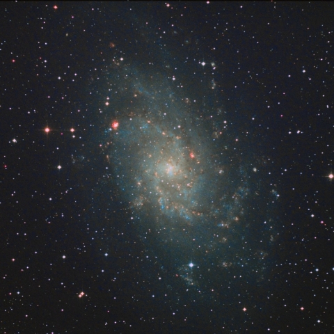 M33