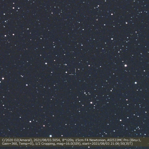 C/2020 O2 (Amaral)