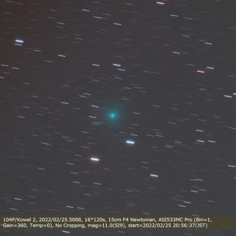 104P/Kowal 2