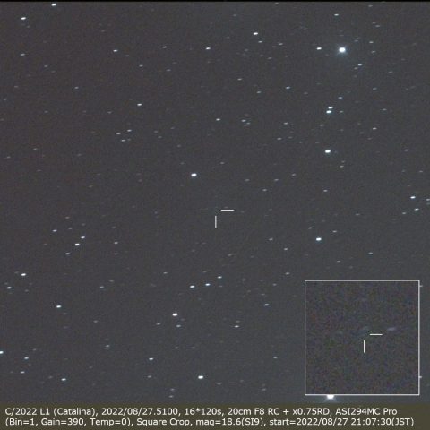 C/2022 L1 (Catalina)