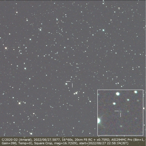 C/2020 O2 (Amaral)