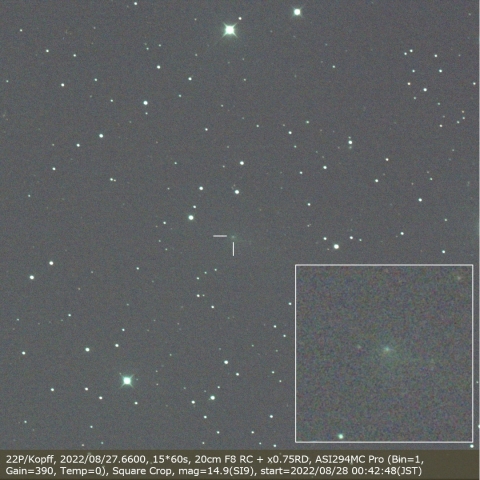 22P/Kopff