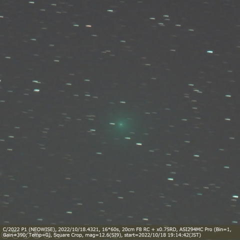 C/2022 P1 (NEOWISE)