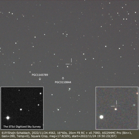 61P/Shajn-Schaldach
