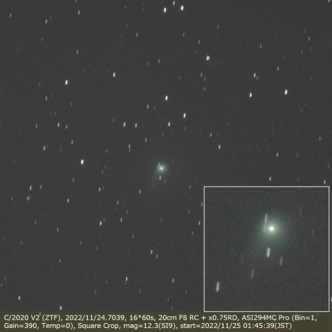 C/2020 V2 (ZTF)