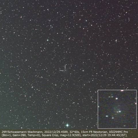 29P/Schwassmann-Wachmann