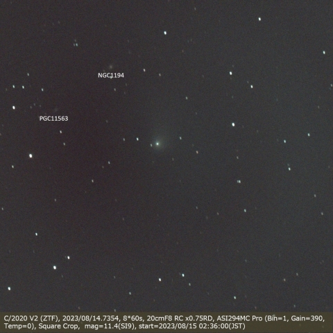 C/2020 V2(ZTF)