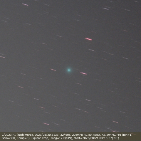 C/2023 P1 (Nishimura)