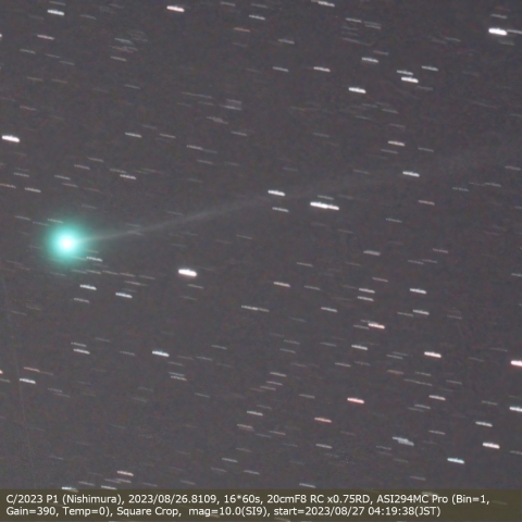 C/2023 P1 (Nishimura)