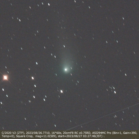 C/2020 V2 (ZTF)