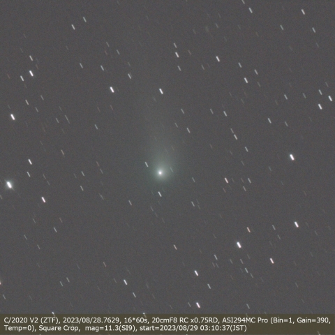 C/2020 V2 (ZTF)