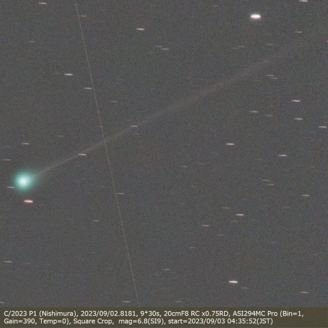 C/2023 P1 (Nishimura)