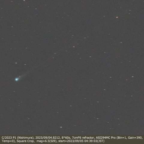 C/2023 P1 (Nishimura)