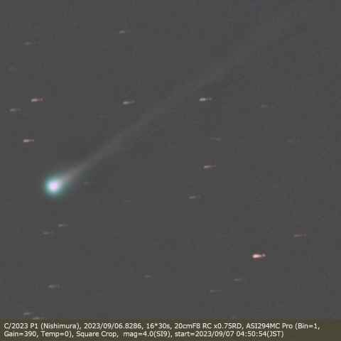 C/2023 P1 (Nishimura)