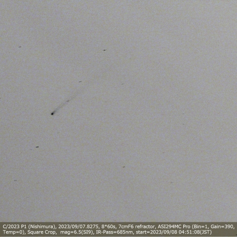C/2023 P1 (Nishimura)