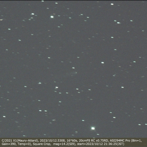 C/2021 X1(Maury-Attard)