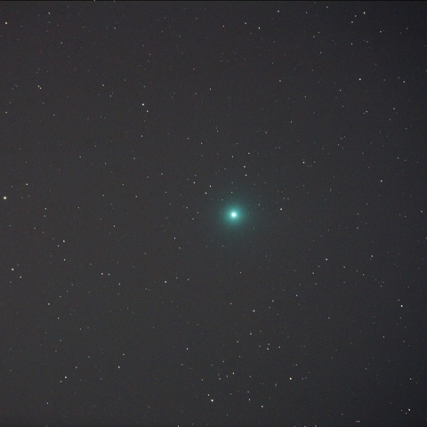 C/2014 Q2 (Lovejoy)