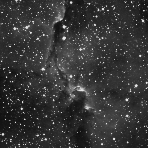 IC 1396