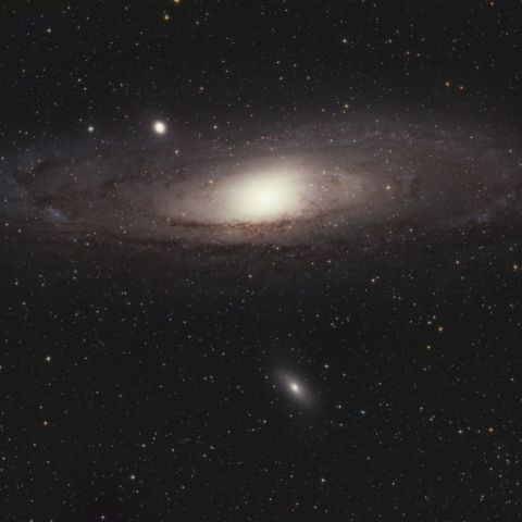 M31