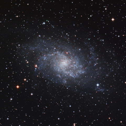 M33