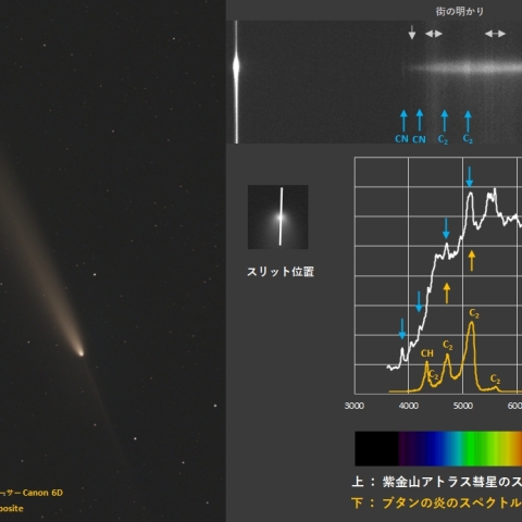 紫金山アトラス彗星のスペクトル