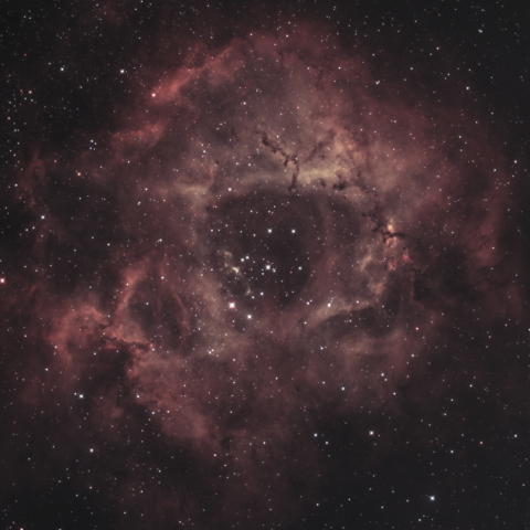 NGC 2237