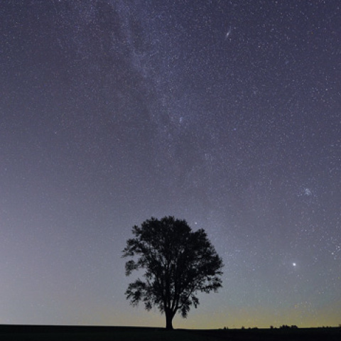 哲学の木と天の川