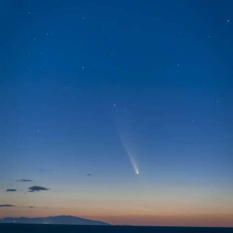 紫金山・アトラス彗星