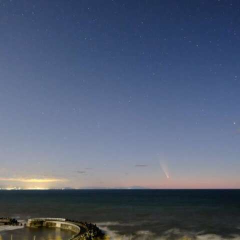 紫金山・アトラス彗星