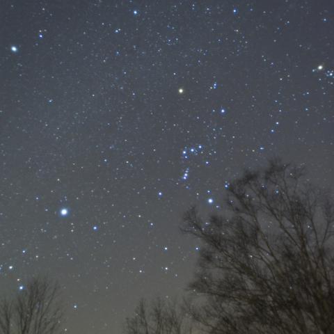 オリオンの木漏れ日