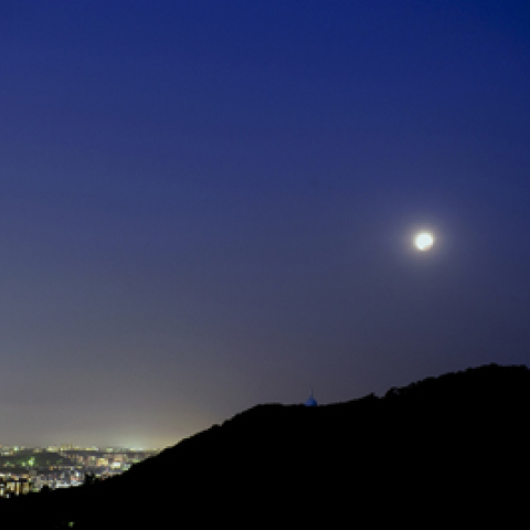 札幌に昇る食の月