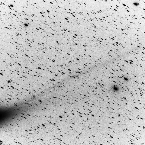 14日早朝のラブジョイ彗星