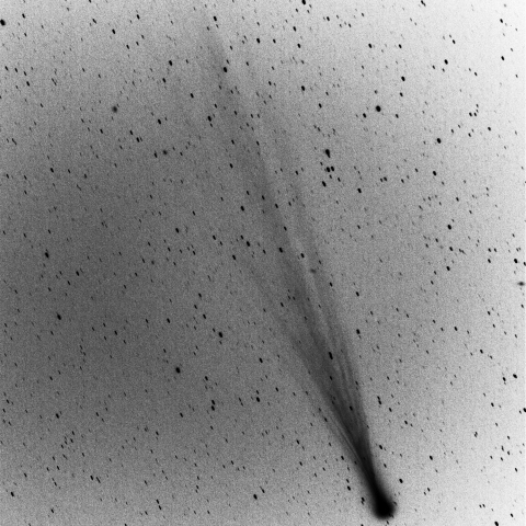 11月16日早朝のアイソン彗星