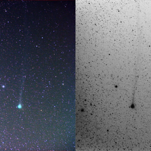 7/26未明、ねじれた尾のジャック彗星