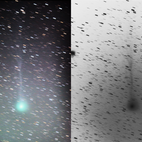 7/26未明、ねじれた尾のジャック彗星・２