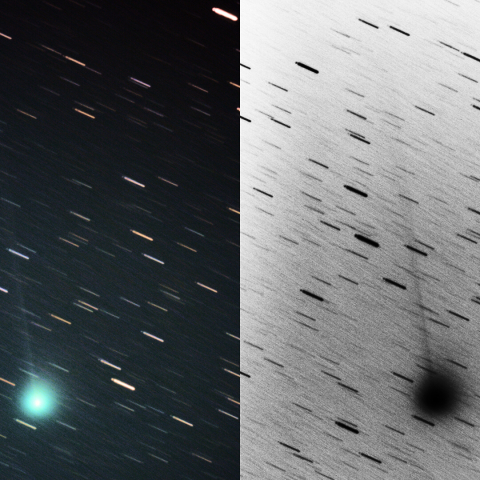 7/30未明のジャック彗星